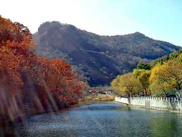 管家婆黑白马报图库，颤抖着